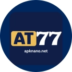At77 Game