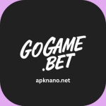 Go Game