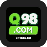 Q98 Game