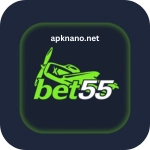 Bet 55 Game
