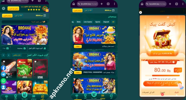 BRO444 Game