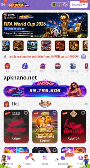 HI309 Game