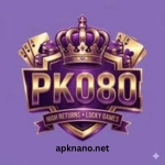 PK080 Game