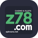 Z78 Game