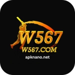 W567 Game