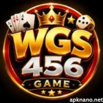 WGS456 Game